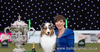 Crufts 2024: Best in Show winner revels in emotional hometown triumph on famous green carpet