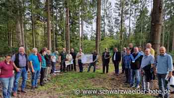 Anspruchsvolle Zeiten: Dickes Minus im Stadtwald Bad Wildbad