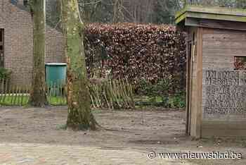 Ontsnapte herten op bezoek in basisschool