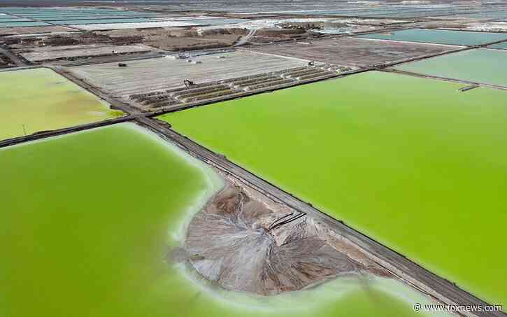 Indigenous communities in Argentina and Chile grapple with soaring demand for lithium