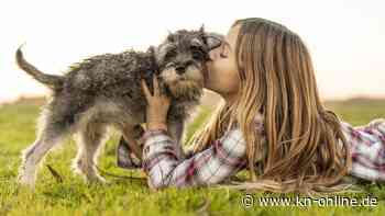 Hunde tun Menschen gut – aber warum? Studie klärt auf