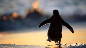 Linux 4.14's long-term support will live on after all, thanks to this alliance