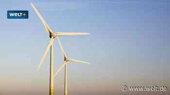 „Müssen uns ehrlich machen“– wichtigster Netzbetreiber fordert Ausbaubremse für Ökostrom