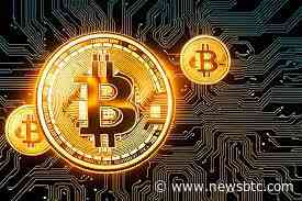 Samson Mow Gives Reasons Why Bitcoin Price Could Reach $1 Million This Year