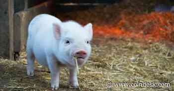 U.S. Attorney’s Office Files Civil Forfeiture Action to Return $2.3M in Crypto Tied to 37 Scam Victims