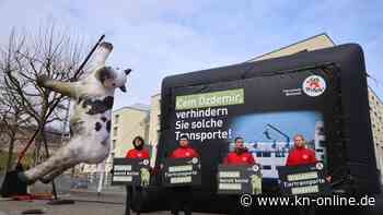 Druck auf Cem Özdemir: Bauernverband und Tierschützer leiden unter Bürokratie