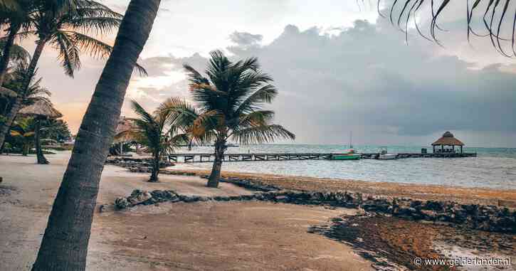 Laura (43) en dochtertje (8) doodgeschoten bij aanslag in Belize: 'Man bewust naar hen op zoek’