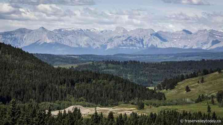 Alberta commission finds renewables pose little threat to agriculture, environment