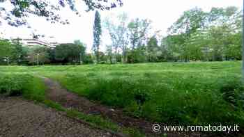Viale del Tintoretto, parte l'iter per la liberazione dell'area verde. Ma resta il nodo risorse