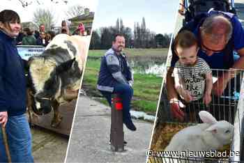 Dertigste editie Posse Leest gaat wellicht de laatste zijn: “Nog één keer de ‘Vetten Os’ op de weegschaal zetten”