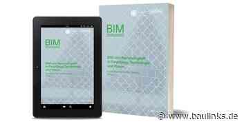 Publikation BIM Professional von BuildingSMART Deutschland