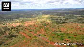 $1b in taxpayer aid slated for Rhinehart-backed rare earth mine in Central Australia