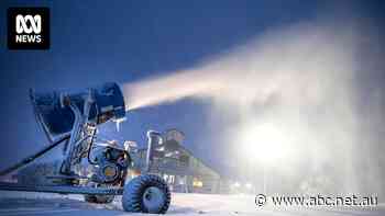 Snow cover days in the Australian Alps may decline by 78 per cent this century, German researchers find