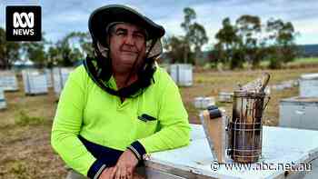 Almonds could be in short supply if varroa mite stops bee movements, growers warn