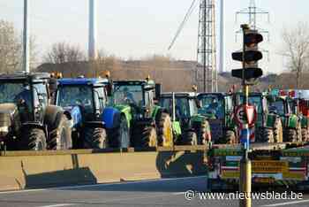 LIVE. Vijftigtal tractoren zetten verkeer in Gentse haven op stelten: dwangbevelen liggen klaar, waarschuwt het havenbedrijf