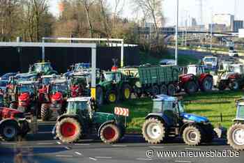 LIVE. 50-tal tractoren zet verkeer in Gentse haven op stelten: dwangbevelen liggen klaar, waarschuwt het havenbedrijf