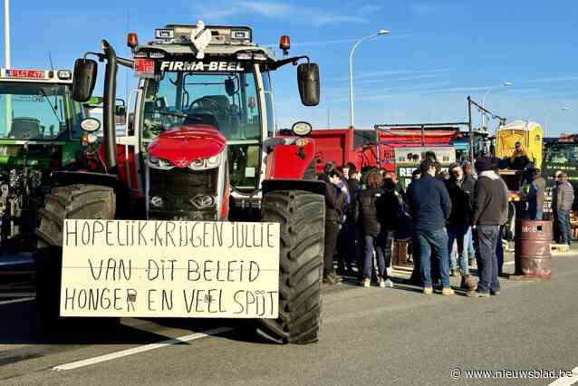 Tientallen boeren protesteren opnieuw in Zeebrugge, havenbedrijven houden deurwaarder klaar: “Maar voorlopig gaat het enkel om filterblokkades”