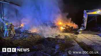 Lambs and cows rescued from lambing barn blaze