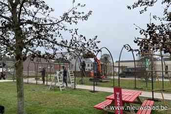 Buren gaan zelf aan de slag in belevingstuin