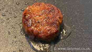 Now scientists want you to eat lab-grown mold to 'save the environment'