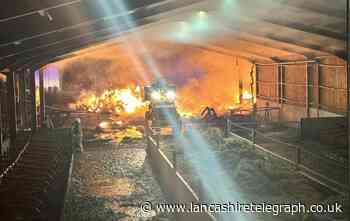 Mrs Dowson's Farm to reopen following fire in birthing barn