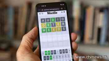 'We own it': Canadian game Canuckle says Wordle owner hasn't sent it copyright notice yet