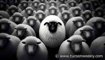 Herd Stupidity: The trend for 2024