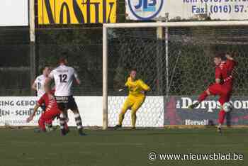 Werchter maakt zich op voor derby tussen KFC en Plenke: “Ook voor het klassement is dit een belangrijke wedstrijd”