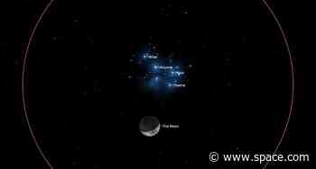 The moon visits the Seven Sisters of the Pleiades tonight
