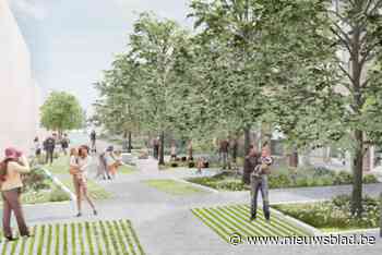 Paardenkerkhofstraat wordt eerste Mechelse hittebestendige straat: “We willen temperatuur er significant doen dalen”