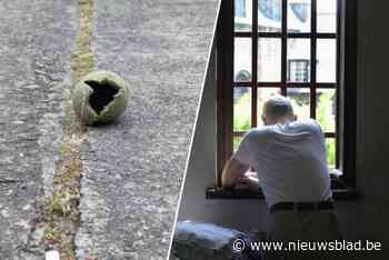 Hoe konden die gevangenen hun folteringen filmen? “Drugs, smartphones, wapens, zelfs kippenfilets, je kan hier alles smokkelen”