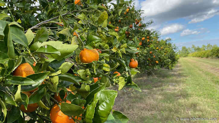 Florida citrus capital was top destination for US movers last year