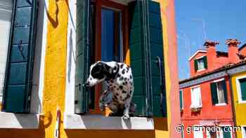 The Best OpenAI Sora TikToks So Far