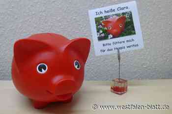 Rote Sparschweine bringen 16.000 Euro