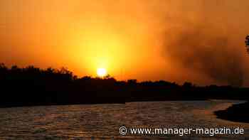 Grüne Investments: Deutschlands Top-Fondsgesellschaften investieren weiter in CO₂-lastige Unternehmen