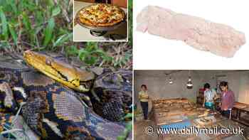 Eating SNAKE is better for the environment than eating beef or chicken, study claims - so, would you try a python pie?