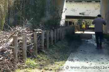 Kleinste insecten en dieren hebben veilige doorgang onder brug E19