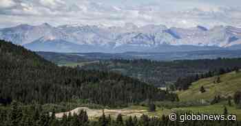 Report from Alberta commission finds renewables pose little threat to agriculture, environment