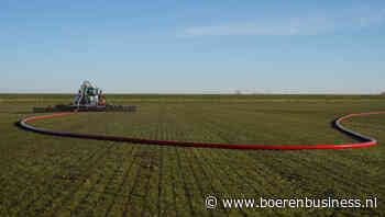 Het is hollen en stilstaan op de mestmarkt