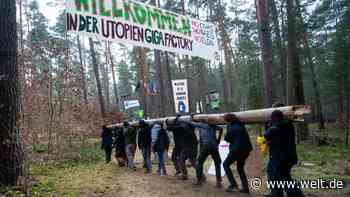 „Leute, wie aus dem Hambacher Forst. Ihnen geht es um Musk als Symbol“