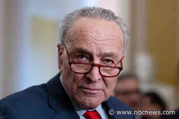Chuck Schumer calls for new elections in Israel, criticizing Netanyahu's leadership