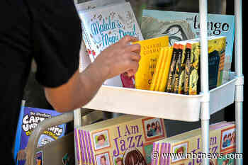 Book ban attempts reached historic high last year, library association says