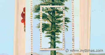 Gabriel García Márquez Didn’t Want His Last Book Published. This Week It Was. Is That OK?