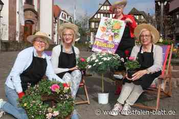 Stadtfest Höxteraner Frühling steigt im März