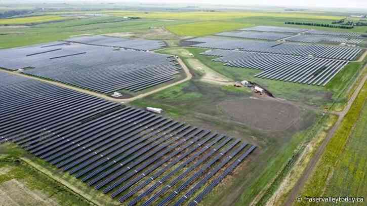 Alberta renewables report contradicts government proposals for industry, critics say