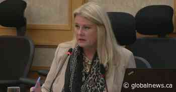 Ward 9 Saskatoon councillor running for re-election this fall