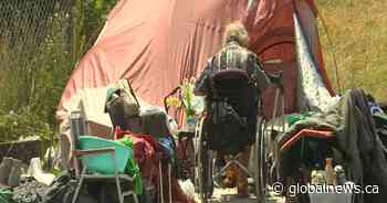 Kingston to enforce daytime camping ban at Belle Park, city parks