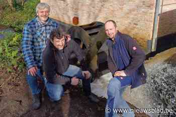 Eeuwenoude Korenmolen draait weer maar wekt nu elektriciteit op