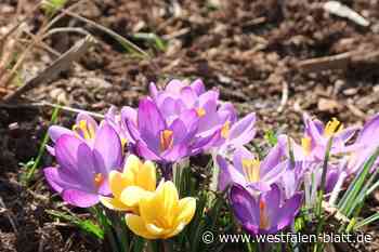 So schön sieht Werthers Stadtpark jetzt aus