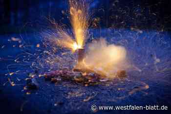 Mann böllert und randaliert in fremdem Garten